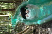  2007-12-10 15.02.18.JPG 